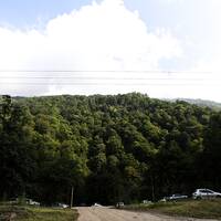 2000 and 3000 Forests 